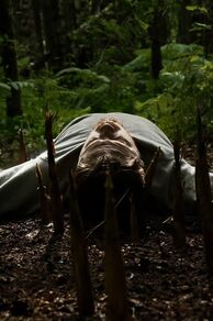 Bamboo Revenge (2025)