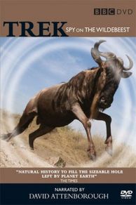 Trek: Spy on the Wildebeest (2007)