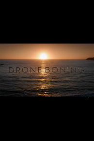 Drone Boning (2014)