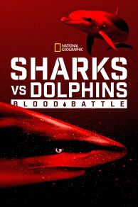 Sharks vs. Dolphins: Blood Battle (2020)