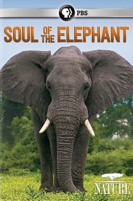 Nature: Soul of the Elephant (2015)