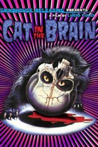 A Cat in the Brain (1990)