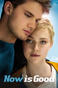 Now Is Good (2012)