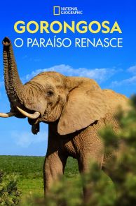 Gorongosa: Paradise Reborn (2022)