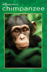 Chimpanzee (2012)