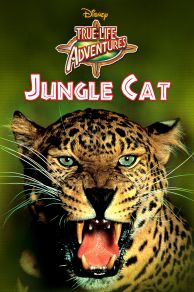 Jungle Cat (1960)