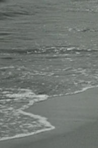 Surf and Seaweed (1931)