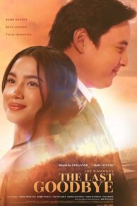The Last Goodbye (2025)