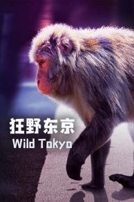 Wild Tokyo (2020)