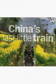 The Last Little Train in China (2014)