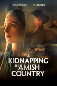 A Kidnapping in Amish Country (2024)