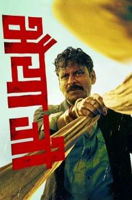 Bhaiyya Ji (2024)