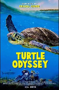 Turtle Odyssey (2019)