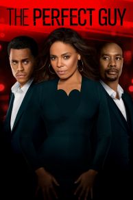 The Perfect Guy (2015)