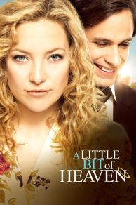 A Little Bit of Heaven (2011)