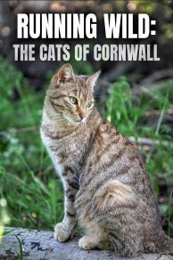 Running Wild: The Cats of Cornwall (2020)