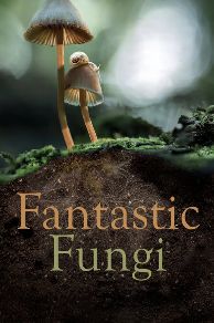 Fantastic Fungi (2019)