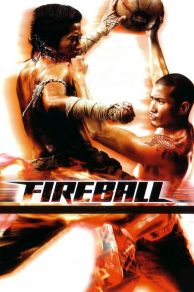 Fireball (2009)