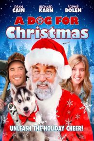 A Dog for Christmas (2015)
