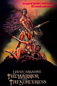 The Warrior and the Sorceress (1984)