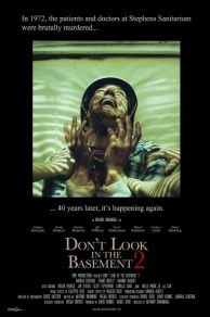 Don't Look in the Basement 2 (2015)