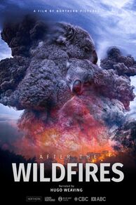 After the Wildfires (2020)
