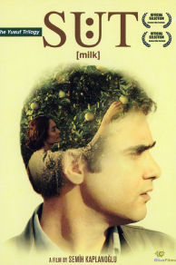 Milk (2008)