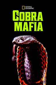 Cobra Mafia (2015)