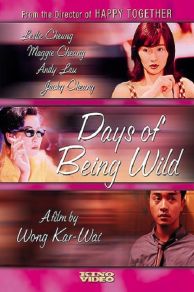 Days of Being Wild (1990)