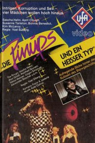 Die Pinups und ein heißer Typ (1981)