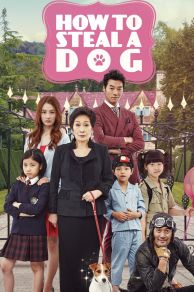How to Steal a Dog (Gaeleul hoomchineun wanbyeokhan bangbeob) (2014)