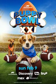 Puppy Bowl XXI (2025)