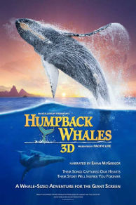 Humpback Whales (2015)