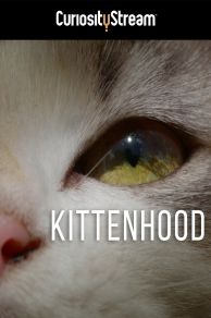 Kittenhood (2015)