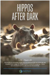 Hippos After Dark (2015)