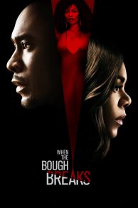 When the Bough Breaks (2016)