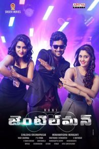 Gentleman (2016)
