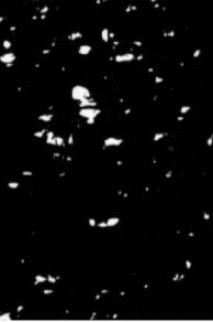 Particles in Space (1966)