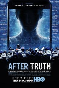 After Truth: Disinformation and the Cost of Fake News (2020)