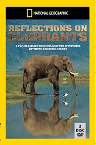 Reflections on Elephants (1994)