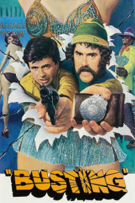 Busting (1974)