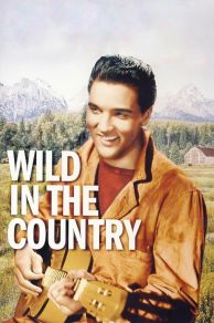 Wild in the Country (1961)