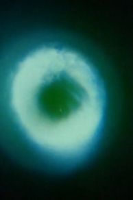 Samadhi (1967)
