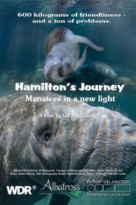 Hamiltons Journey: Manatees in a New Light (2014)