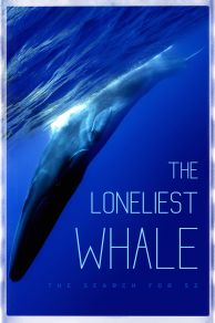 The Loneliest Whale: The Search for 52 (2021)