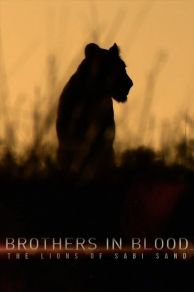 Brothers in Blood: The Lions of Sabi Sand (2015)