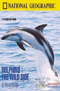 Dolphins: The Wild Side (1999)