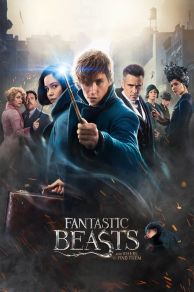 Fantastic Beasts and Where to Find Them (2016)