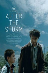 After the Storm (2016)