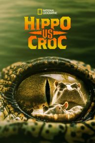 Hippo vs Croc (2014)